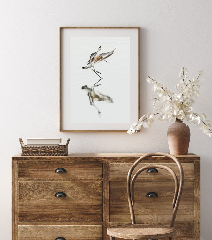 Godwit Ballet product mockup,
