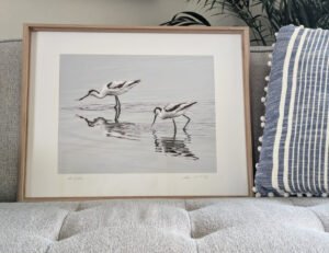 Fine Art Framed Print, Avocets, wildlife Print, Dorset, Nature print, oak framed print, coastal print.