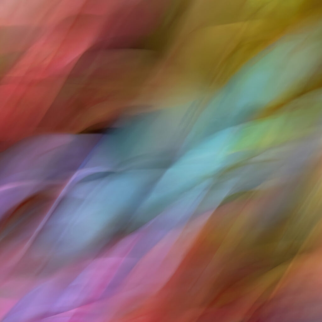 Sarah McNulty, Lanta Photography, Autumn Abstraction 2, Creative plant & flower photography gallery, Creative Autumn leaves abstract, Autumn print, Fine Art Autumn Abstract, Fine Art Autumn abstract print, Autumn Abstract wall art print, square print, Dorset, Patterns in nature.