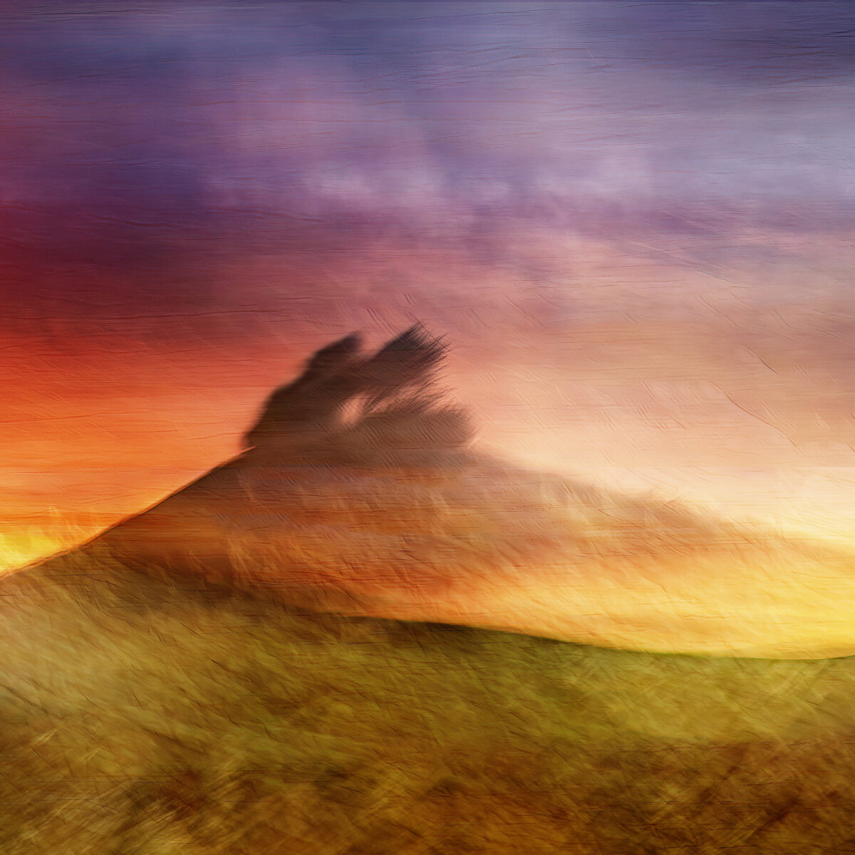 Colmers Dawn Flame is a fine art photographic print of a contemporary scene of Colmers Hill in Dorset at Sunrise.