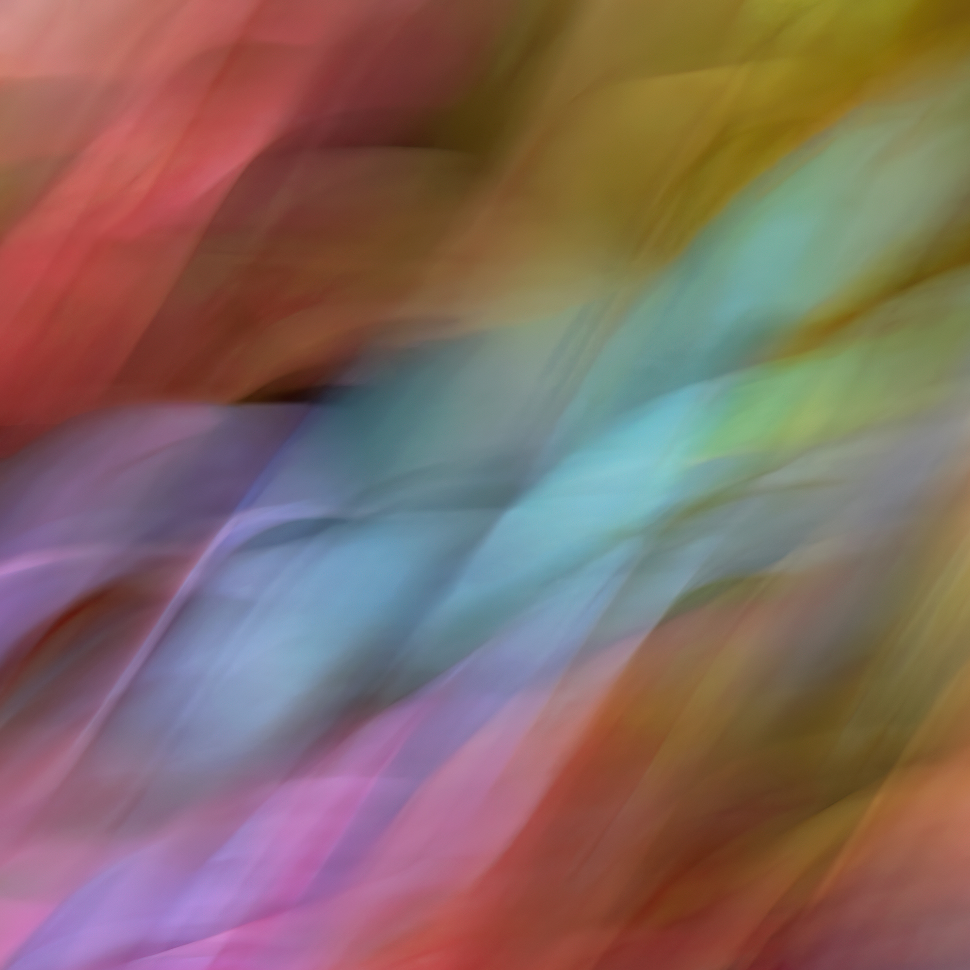 Autumn Abstraction 2 Digital Art print, Limited Edition print, Art and Beyond Gallery, Beaminster, Art and Beyond Gallery Crewkerne, Sarah McNulty, Abstract nature print, Patterns in nature print, Dorset Fine art photography, Fine art photography Dorset, Dorset, mounted print, Lanta Photography