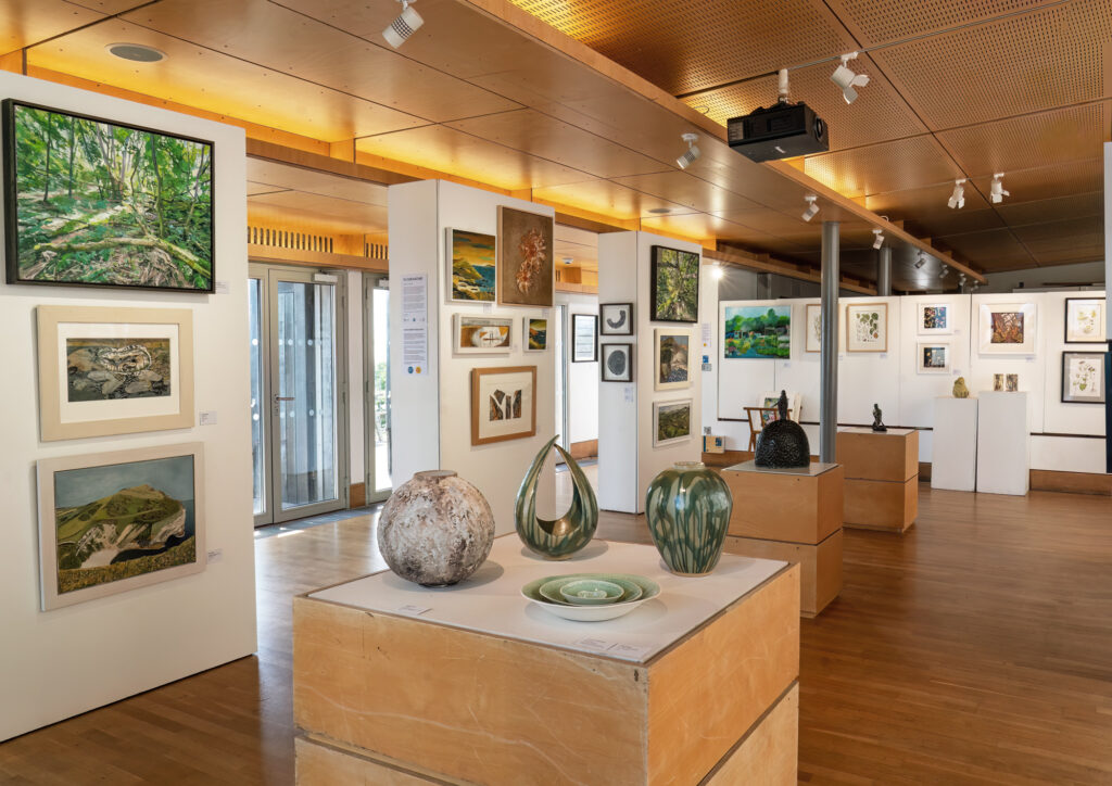 Dorset Visual Arts, In Our Nature Exhibition, Velocity, Sarah McNulty, Dorset Arts, Fine Foundation Gallery, Durlston Country Park, Lanta Photography, Dorset Fine art photography, Fine art photography Dorset, Dorset Coastal print
