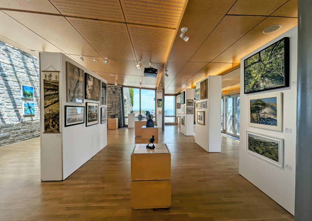 In Our Nature Exhibition, Dorset Visual Arts, Sarah McNulty, Velocity, Dorset Fine art coastal print, Dorset fine art photography, Durlston Country park, Fine Foundation Gallery, Dorset fine art coastal print, Swanage, Dorset