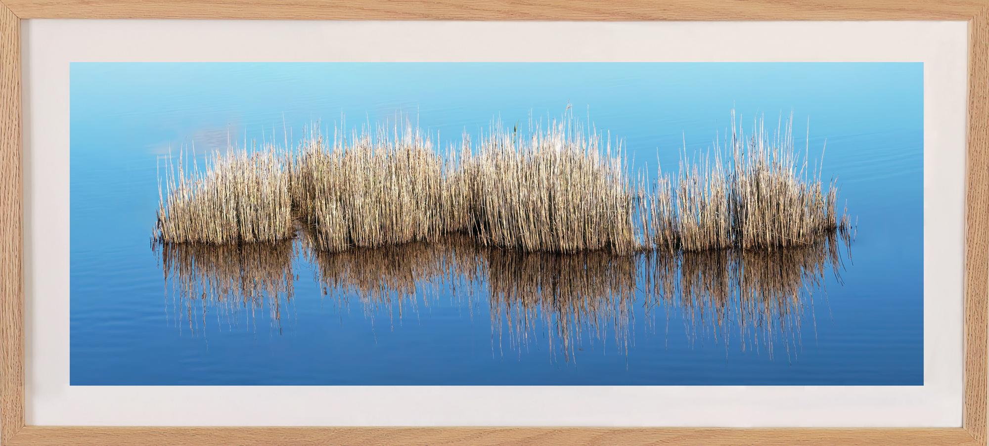 Southern Nature Art Exhibition 2025, Reflected Reeds, Sarah McNulty, Dorset Fine art photography, fine art photography Dorset, Dorset nature print, Dorset framed fine art print, framed print, framed limited Edition print, Lodmoor Nature Reserve, Weymouth, Dorset, water reeds, nature art, nature print, Lanta photography, Dorset nature print