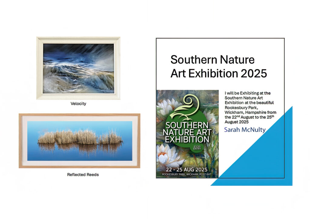 Southern nature art exhibition 2025, Sarah McNulty, Lanta Photography, Dorset fine art prints, Velocity print, Reflected Reeds print, nature art, Rookesbury Park, Wickham, Dorset Framed print, photographic art, digital art, framed digital art, Hampshire, West Bay, Dorset
