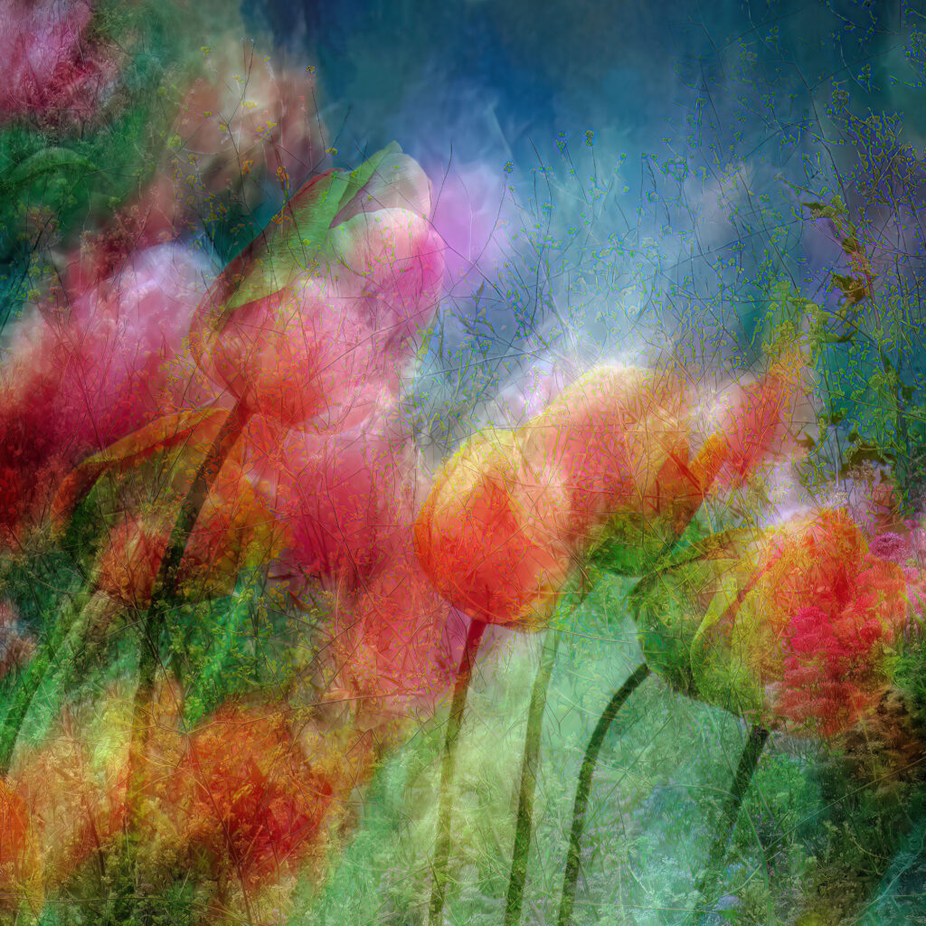 Spring Canvas, Floral digital art, Spring flower digital art, Sarah McNulty, Lanta Photography, Fine art photography Dorset, Dorset fine art photography, Spring floral art print, canvas floral art, Spring Canvas wall art, colourful floral print, Limited edition canvas print, Limited Edition, Dorset, floral photography