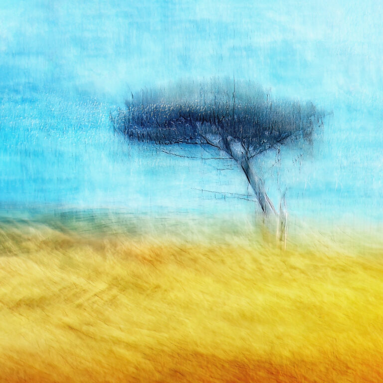 A creative photographic digital art image of a tree, set against a coastal landscape at Abbotsbury in Dorset
