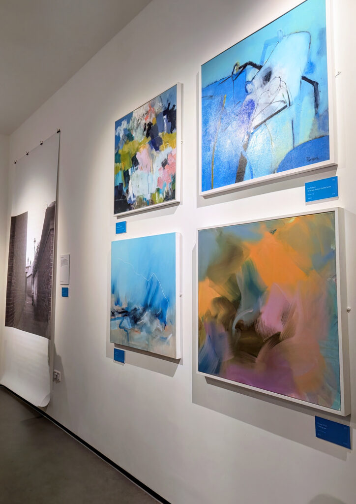 Dorset Open Exhibition 2025. Dorset Museum. Preview Night. Dorset Visual Arts