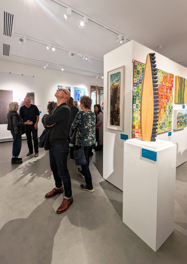 Dorset Open Exhibition 2025. Dorset Museum. Preview Night. Dorset Visual Arts