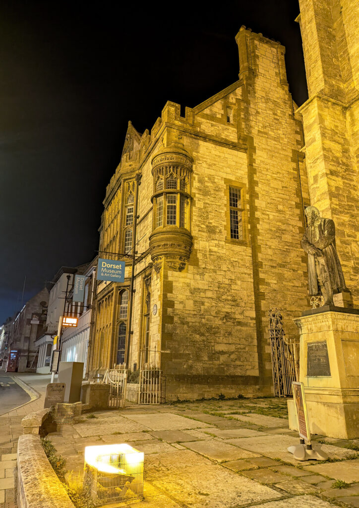 Dorset Open Exhibition 2025. Dorset Museum. Preview Night. Dorset Visual Arts