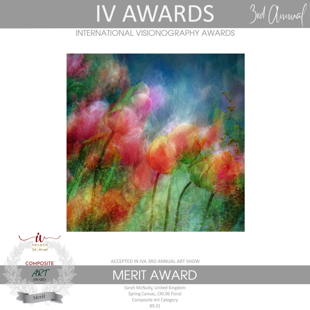 Spring Canvas. International Visionography Awards 2025. Sarah McNulty. Dorset.