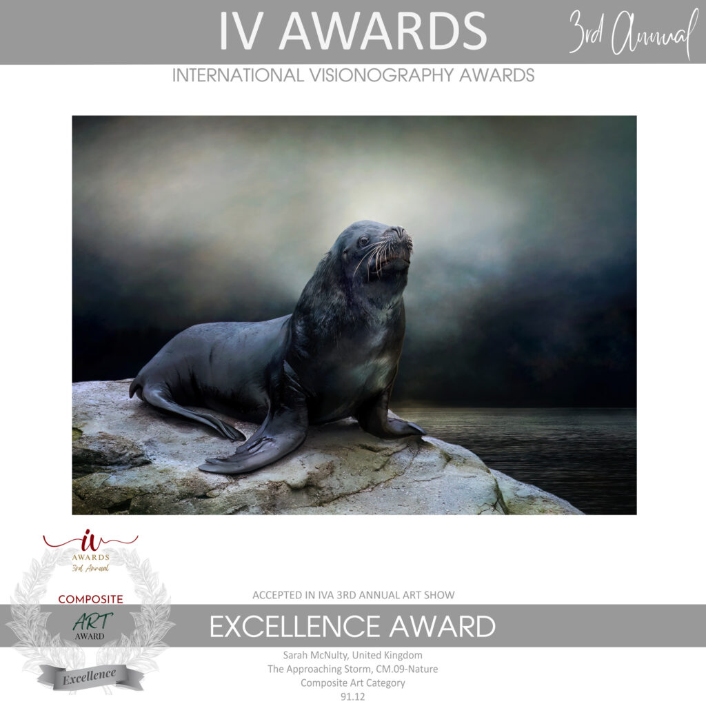The Approaching Storm. International Visionography Awards 2025. Excellence Award. Sarah McNulty. Dorset