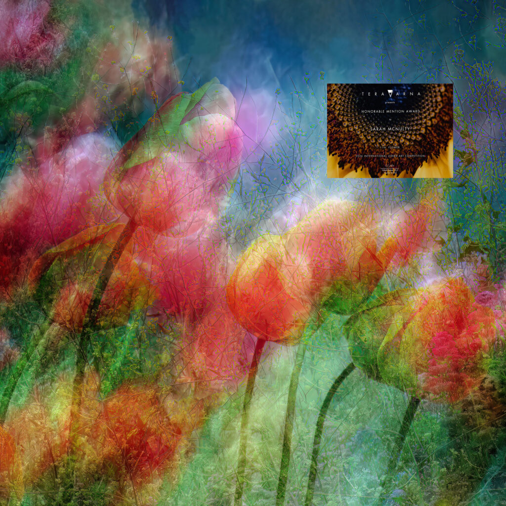 Sarah McNulty Honourable Mention. Spring Canvas. Teravarna 11th Flower Juried International Competion 2026. Dorset fine art photographer.