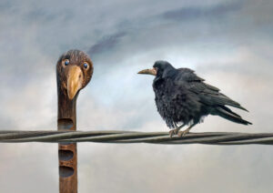 Are We Related. WCPF Members Exhibition 2026. Sarah McNulty Fine art photography, Dorset.