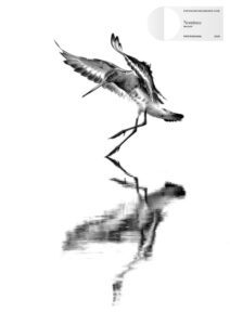 Exposure One Awards. Photographer of the Year 2026. Sarah McNulty. Soft Landing. Nominee.