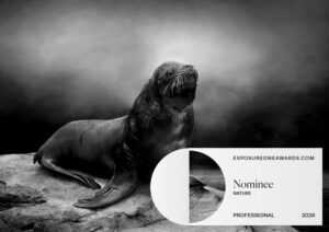 Exposure One Awards. Photographer of the Year 2026. Sarah McNulty. The Approaching Storm. Nominee